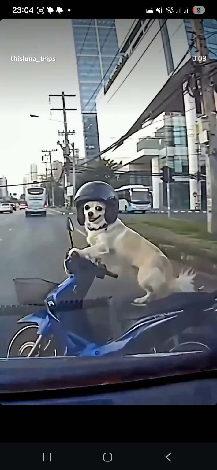 Luna riding a scooter